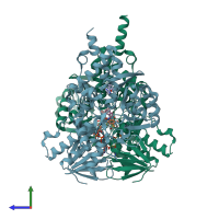 PDB entry 2xfo coloured by chain, side view.