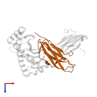 Beta-2-microglobulin in PDB entry 2xfx, assembly 1, top view.