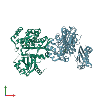 PDB entry 2xgn coloured by chain, front view.