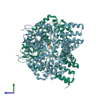 PDB entry 2xgo coloured by chain, side view.