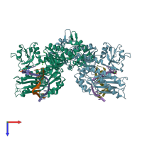 PDB entry 2xgp coloured by chain, top view.