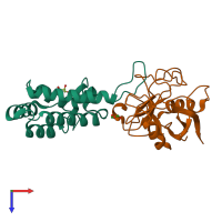 PDB entry 2xgy coloured by chain, top view.