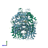 PDB entry 2xgz coloured by chain, side view.