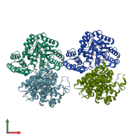 PDB entry 2xh4 coloured by chain, front view.