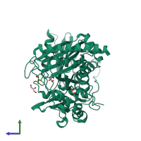 PDB entry 2xhg coloured by chain, side view.