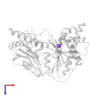 SODIUM ION in PDB entry 2xhg, assembly 1, top view.
