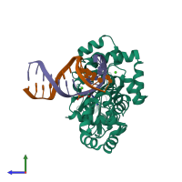 PDB entry 2xhi coloured by chain, side view.