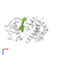 N,2-DIMETHYL-6-{[7-(2-MORPHOLIN-4-YLETHOXY)QUINOLIN-4-YL]OXY}-1-BENZOFURAN-3-CARBOXAMIDE in PDB entry 2xir, assembly 1, top view.