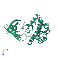 Serine/threonine-protein kinase Nek2 in PDB entry 2xkc, assembly 1, top view.