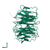 WD repeat-containing protein 5 in PDB entry 2xl3, assembly 2, side view.