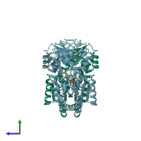 PDB entry 2xmp coloured by chain, side view.