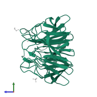 Kelch-like protein 2 in PDB entry 2xn4, assembly 1, side view.