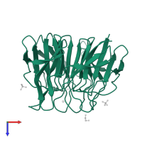 Kelch-like protein 2 in PDB entry 2xn4, assembly 1, top view.