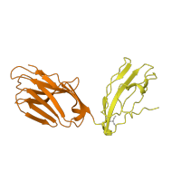 The deposited structure of PDB entry 2xn9 contains 2 copies of CATH domain 2.60.40.10 (Immunoglobulin-like) in T cell receptor alpha chain constant. Showing 2 copies in chain A.