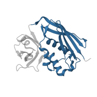 The deposited structure of PDB entry 2xn9 contains 1 copy of CATH domain 3.10.20.120 (Ubiquitin-like (UB roll)) in Enterotoxin type H. Showing 1 copy in chain C.