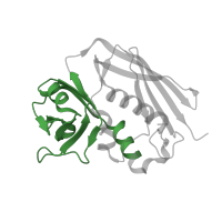 The deposited structure of PDB entry 2xn9 contains 1 copy of Pfam domain PF01123 (Staphylococcal/Streptococcal toxin, OB-fold domain) in Enterotoxin type H. Showing 1 copy in chain C.