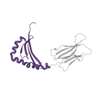 The deposited structure of PDB entry 2xn9 contains 1 copy of CATH domain 3.10.320.10 (Class II Histocompatibility Antigen, M Beta Chain; Chain B, domain 1) in HLA class II histocompatibility antigen, DRB1 beta chain. Showing 1 copy in chain E.