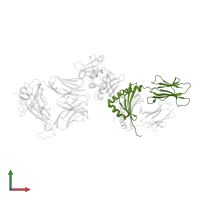 HLA class II histocompatibility antigen, DRB1 beta chain in PDB entry 2xn9, assembly 1, front view.