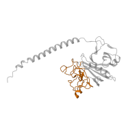 The deposited structure of PDB entry 2xnx contains 4 copies of CATH domain 4.10.530.10 (Gamma-fibrinogen Carboxyl Terminal Fragment; domain 2) in Fibrinogen beta chain. Showing 1 copy in chain B.