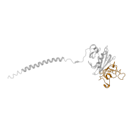 The deposited structure of PDB entry 2xnx contains 4 copies of CATH domain 4.10.530.10 (Gamma-fibrinogen Carboxyl Terminal Fragment; domain 2) in Fibrinogen gamma chain. Showing 1 copy in chain L.