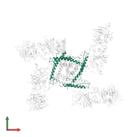 Fibrinogen alpha chain in PDB entry 2xnx, assembly 1, front view.