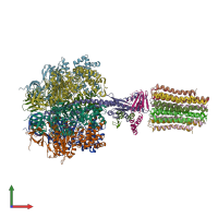 PDB entry 2xok coloured by chain, front view.