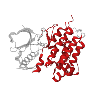 The deposited structure of PDB entry 2xp2 contains 1 copy of CATH domain 1.10.510.10 (Transferase(Phosphotransferase); domain 1) in ALK tyrosine kinase receptor. Showing 1 copy in chain A.