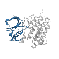 The deposited structure of PDB entry 2xp2 contains 1 copy of CATH domain 3.30.200.20 (Phosphorylase Kinase; domain 1) in ALK tyrosine kinase receptor. Showing 1 copy in chain A.