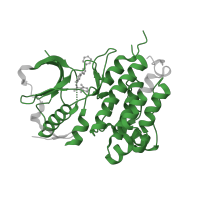 The deposited structure of PDB entry 2xp2 contains 1 copy of Pfam domain PF07714 (Protein tyrosine and serine/threonine kinase) in ALK tyrosine kinase receptor. Showing 1 copy in chain A.