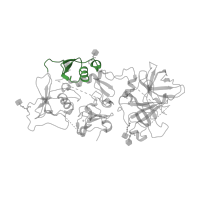 The deposited structure of PDB entry 2xrc contains 4 copies of CATH domain 3.30.60.30 (Wheat Germ Agglutinin (Isolectin 2); domain 1) in Complement factor I. Showing 1 copy in chain B.