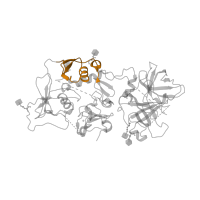 The deposited structure of PDB entry 2xrc contains 4 copies of Pfam domain PF21287 (Complement factor I, KAZAL domain) in Complement factor I. Showing 1 copy in chain B.