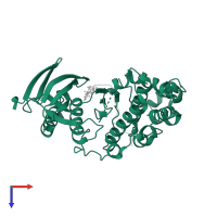 Mitogen-activated protein kinase 8 in PDB entry 2xs0, assembly 1, top view.