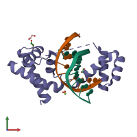 PDB entry 2xsd coloured by chain, front view.