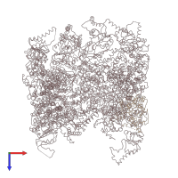 PDB entry 2xsm coloured by chain, top view.