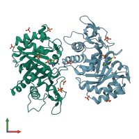 PDB entry 2xtk coloured by chain, front view.