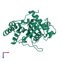 GTPase IMAP family member 2 in PDB entry 2xtp, assembly 1, top view.