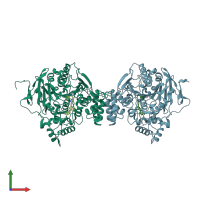 PDB entry 2xuh coloured by chain, front view.