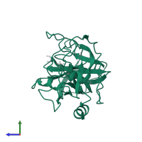 Complement factor D in PDB entry 2xw9, assembly 1, side view.