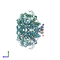 PDB entry 2xwd coloured by chain, side view.