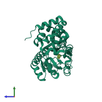 PDB entry 2xwo coloured by chain, side view.