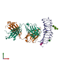PDB entry 2xwt coloured by chain, front view.
