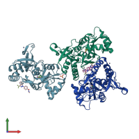 PDB entry 2xx8 coloured by chain, front view.