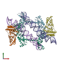 PDB entry 2xxa coloured by chain, front view.