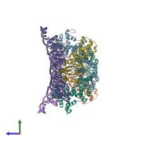 PDB entry 2xxa coloured by chain, side view.
