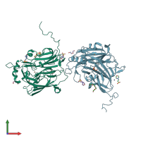 PDB entry 2xxg coloured by chain, front view.