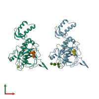 PDB entry 2xxl coloured by chain, front view.