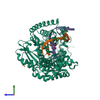 PDB entry 2xy7 coloured by chain, side view.