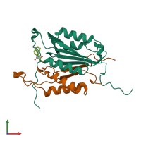 PDB entry 2xyg coloured by chain, front view.