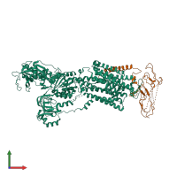 PDB entry 2xzb coloured by chain, front view.