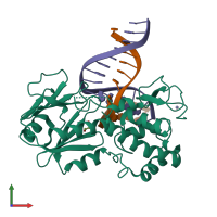 PDB entry 2xzf coloured by chain, front view.